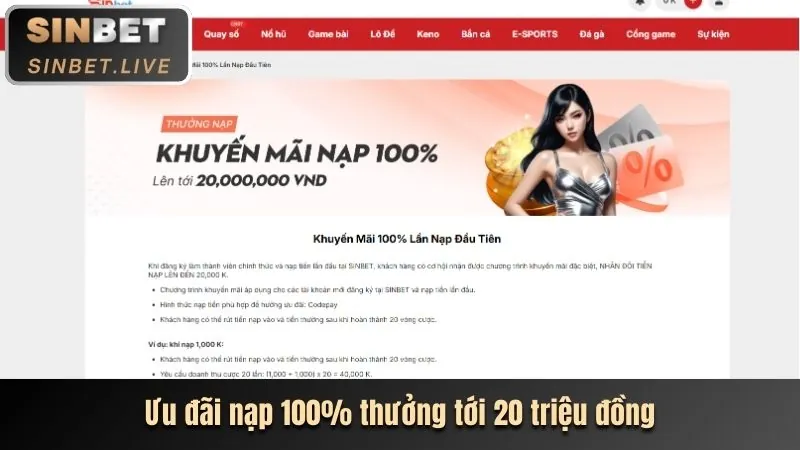 Hoàn trả cao hơn cho thành viên VIP